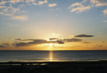 Brazil 2024 on Film – Capilha